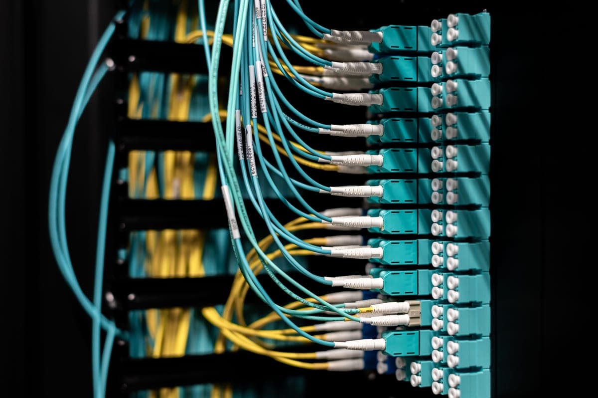 Colored patch cords plugged neatly into a patch panel
