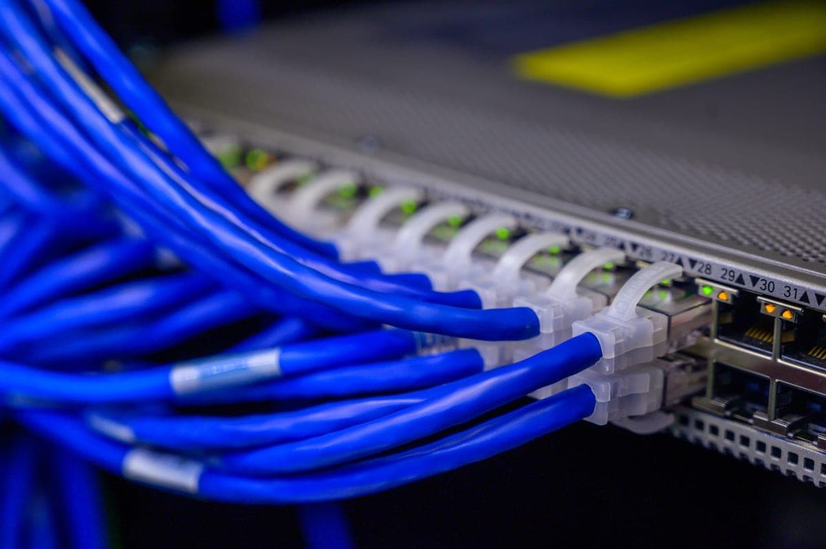 Blue Ethernet cables terminated into the ports of a rack-mounted switch